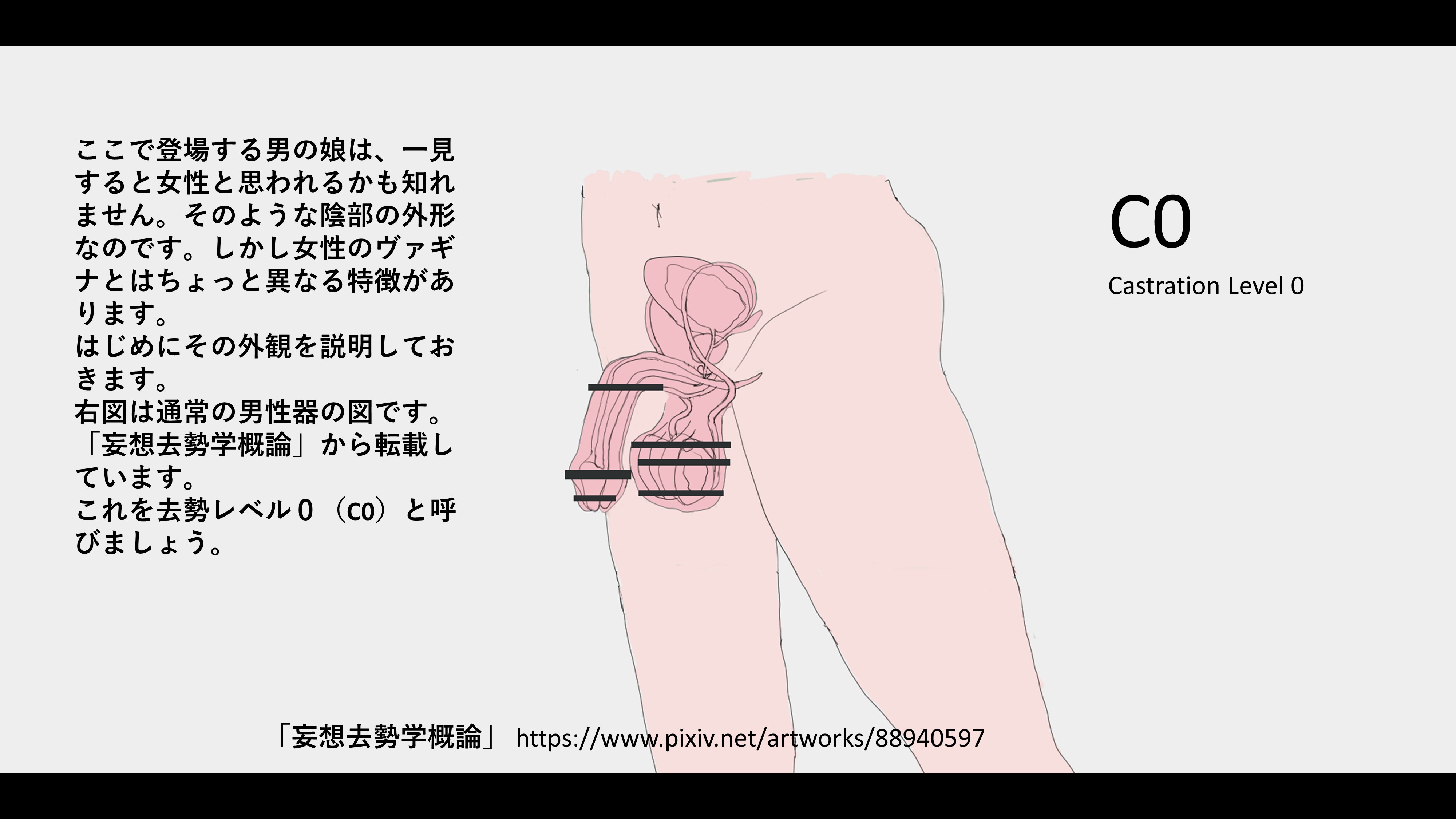 去勢　エロ 